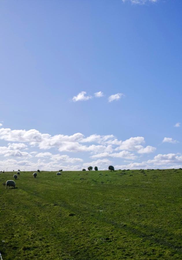 Am Horumertief Schillig Buitenkant foto
